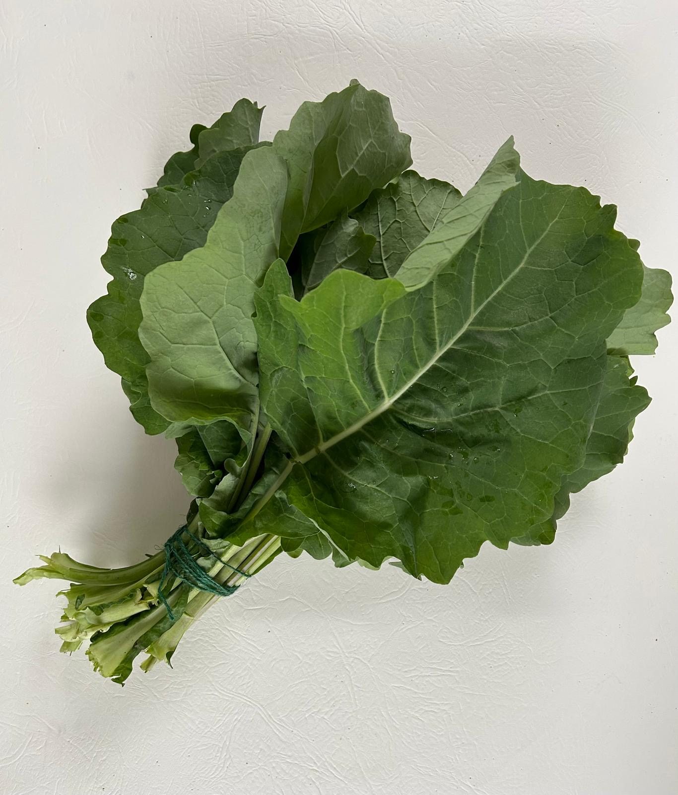 Chomolia